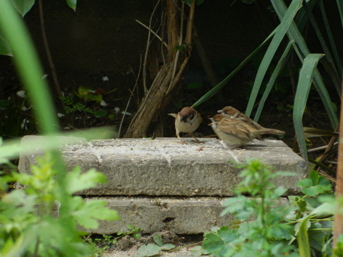 DSCN5714