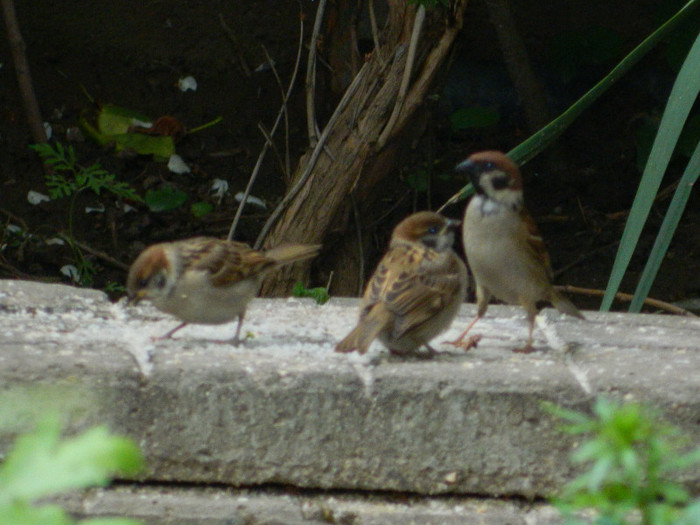 DSCN5722
