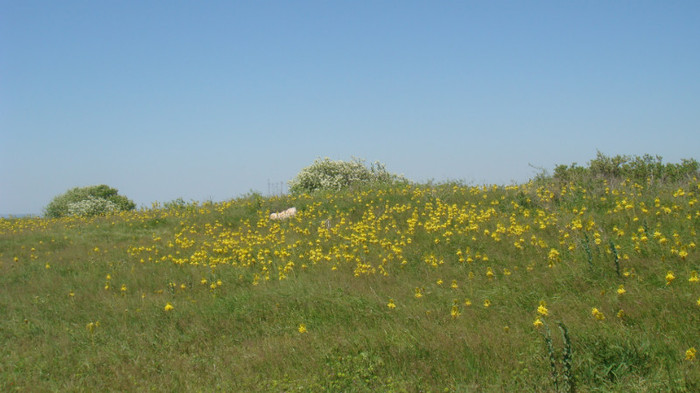 DSC05953 - miniconcediu de 1 mai 2012