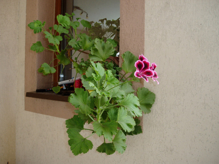 P1010379