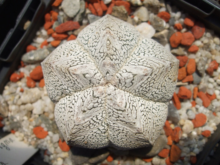 DSCF0383