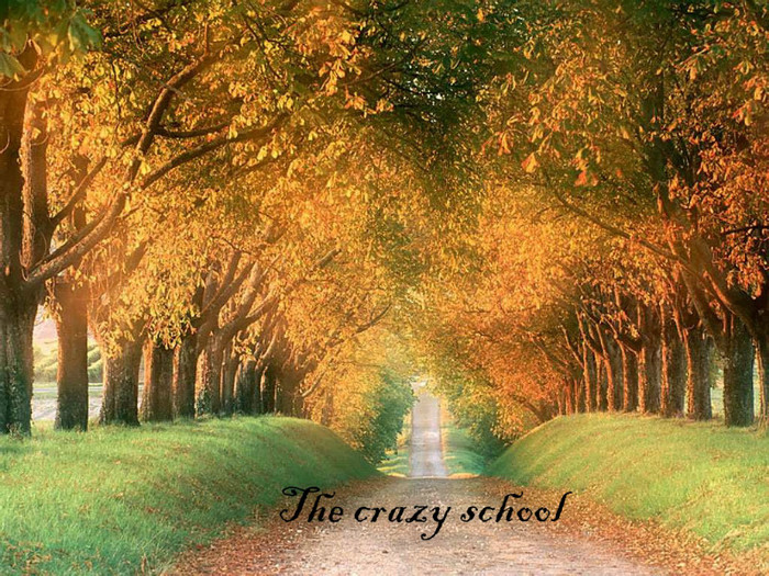Ea,s`a speriat brusc...:) - The crazy school ep 8