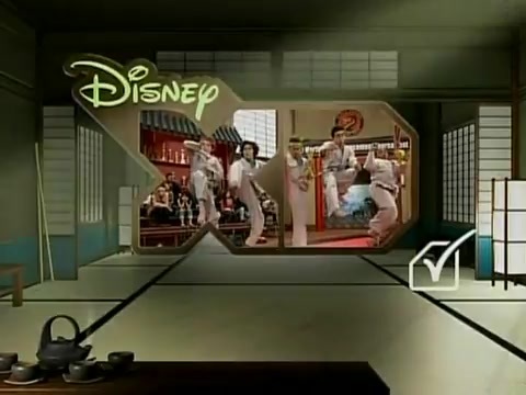 Kickin' It (Disney XD) Promo #1 892