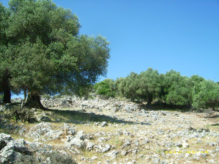 Kefalon2012 167 - 2012-Insula Kefalonia