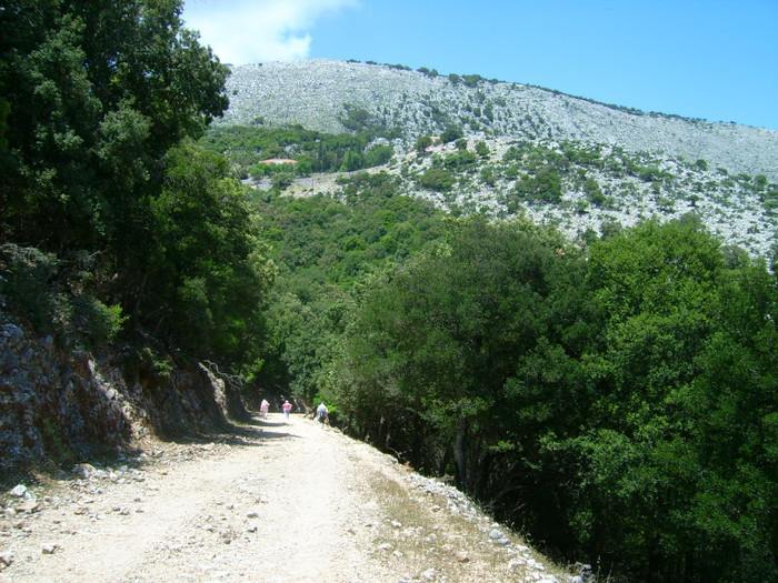 Kefalon2012 222 - 2012-Insula Kefalonia