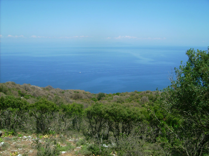 Kefalon2012 223 - 2012-Insula Kefalonia