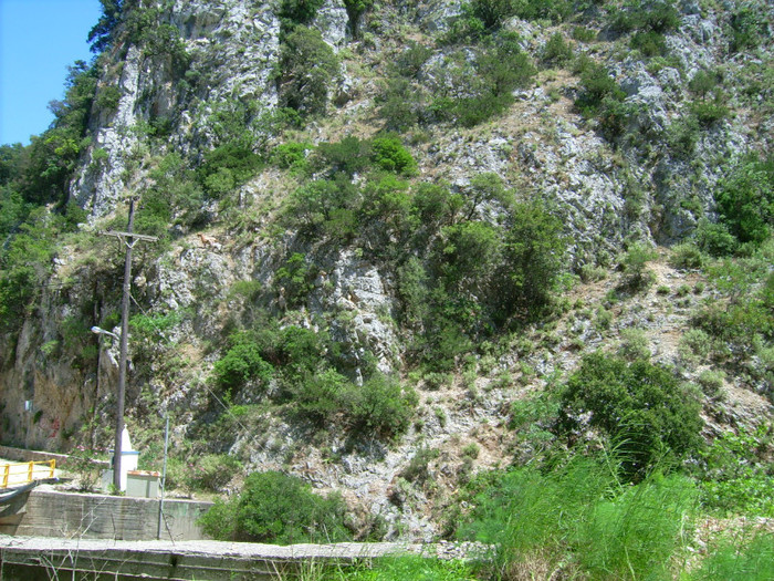 Kefalon2012 227 - 2012-Insula Kefalonia