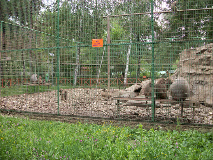 100_9775 - ZOO Bucov