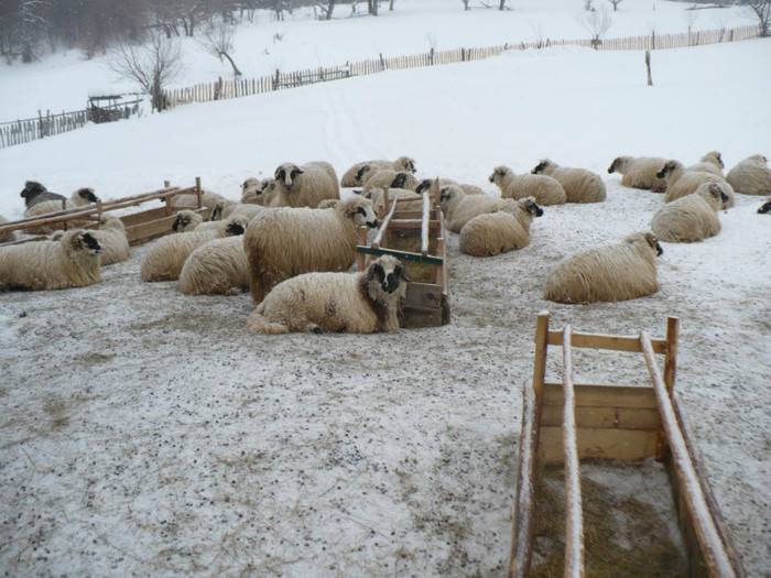 395832_235043173256667_100002529580512_491882_1045595772_n