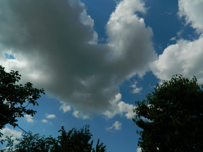 DSCN5902