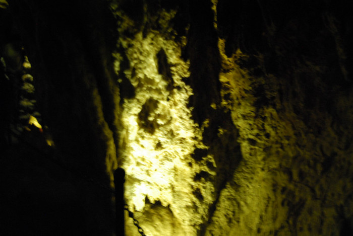 DSC_2153 - partea 1
