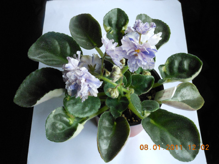 RS Morskaia Princesa