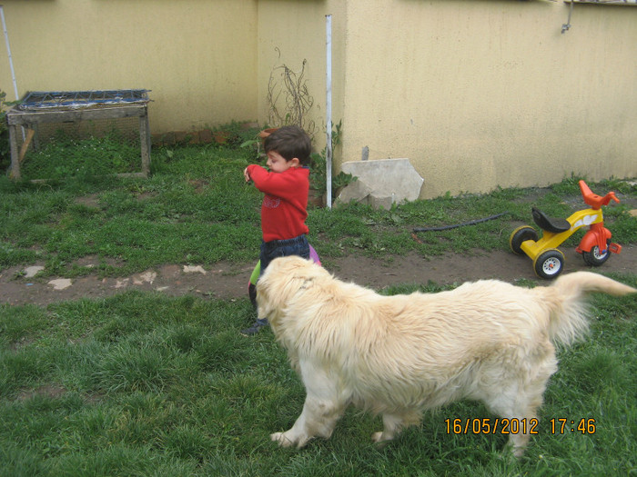 IMG_2721 - puiutul meu