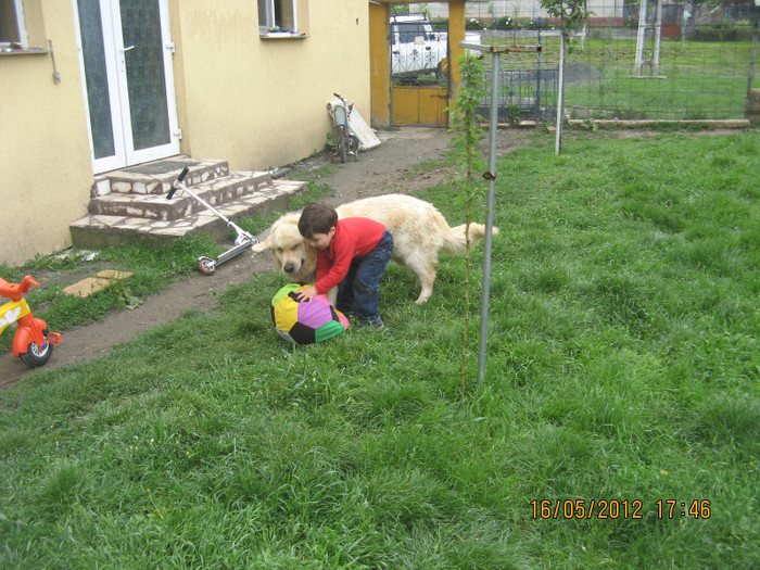 IMG_2719 - puiutul meu
