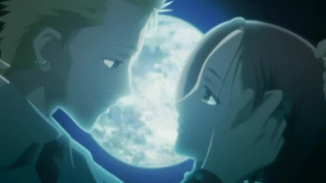 nobu and hachi 2