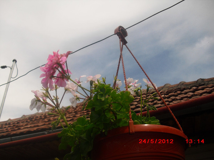 CIMG9276