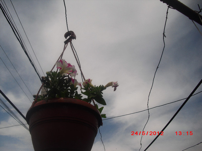 CIMG9279