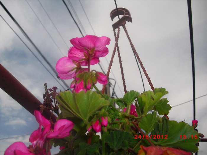 CIMG9280