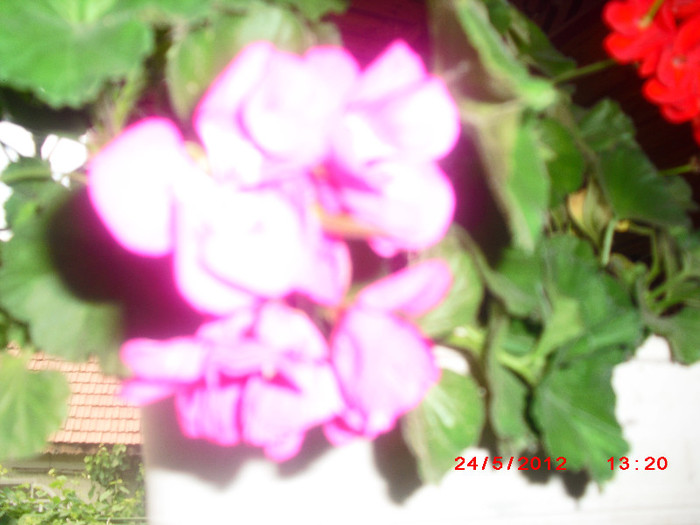 CIMG9311