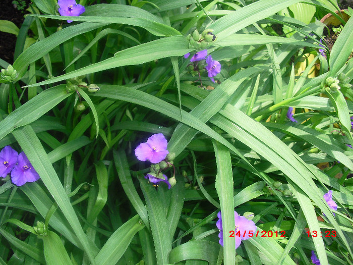 CIMG9330