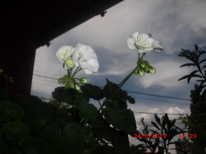 CIMG9332