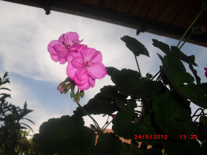 CIMG9335