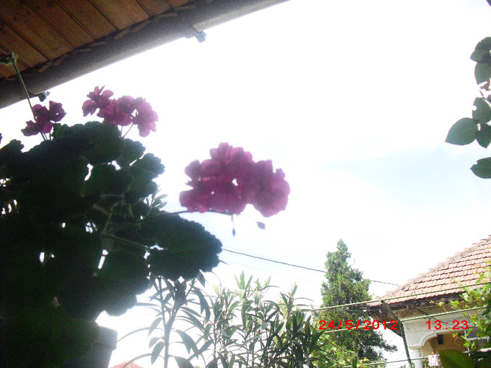 CIMG9336