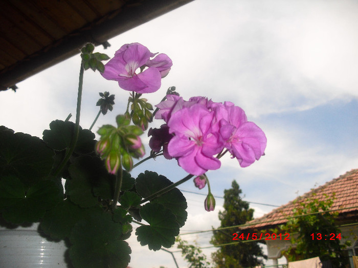 CIMG9338
