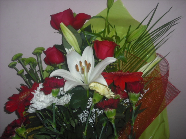 Picture 103 - w FLORI