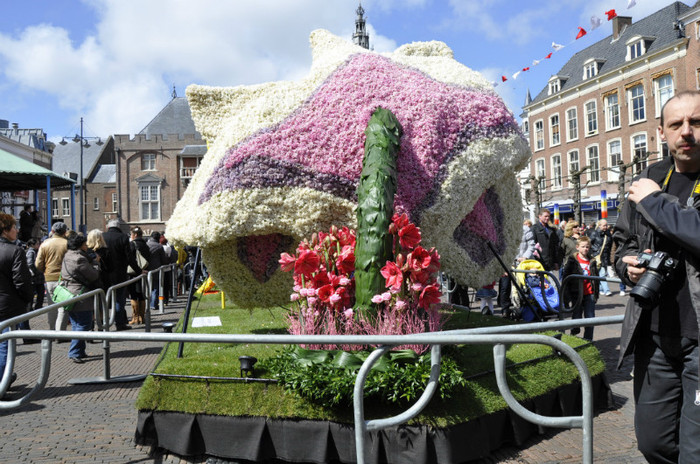 _DSC3350 - Haarlem 2012