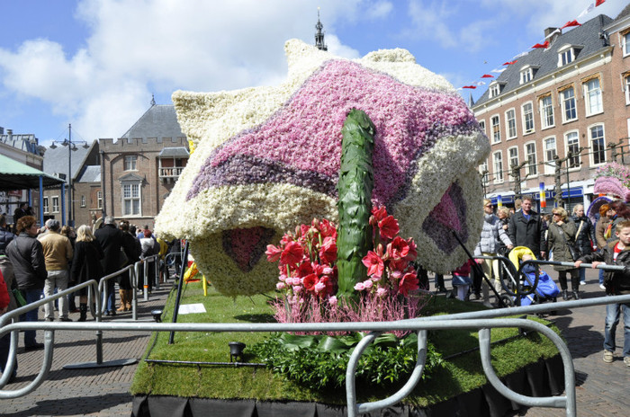 _DSC3351 - Haarlem 2012