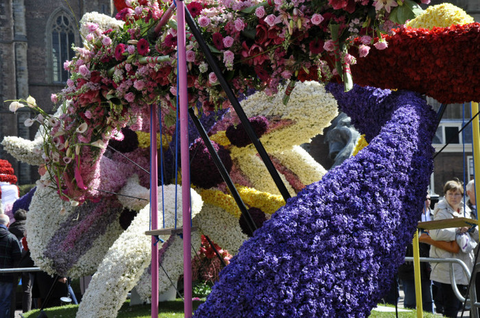 _DSC3367 - Haarlem 2012