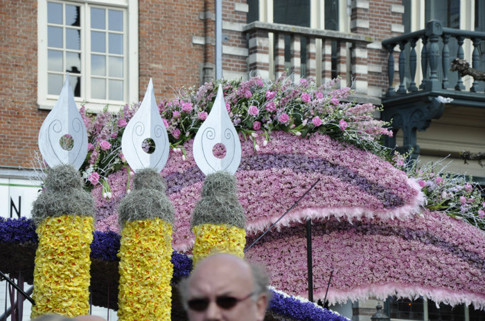 _DSC3368 - Haarlem 2012