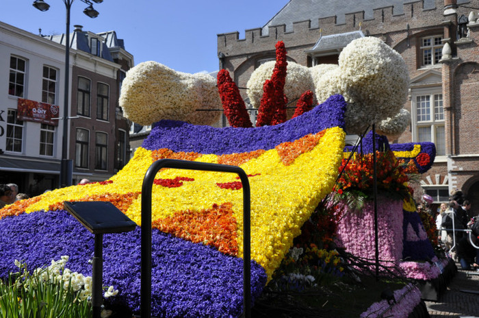 _DSC3371 - Haarlem 2012