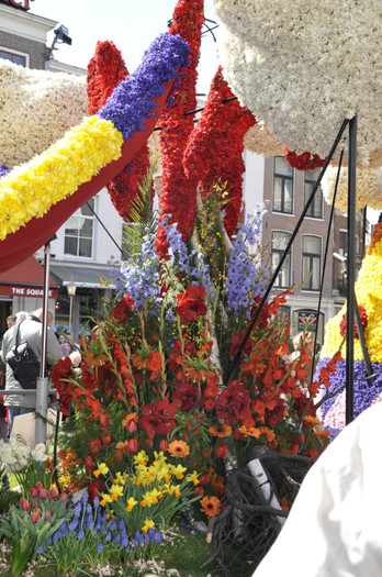 _DSC3372 - Haarlem 2012
