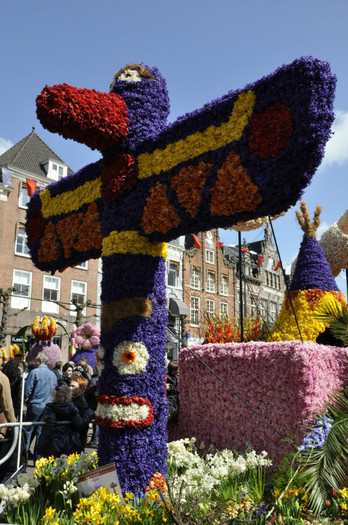 _DSC3377 - Haarlem 2012