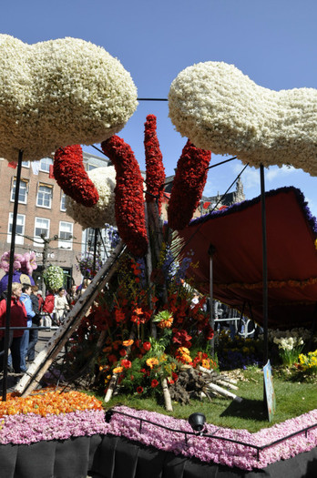 _DSC3379 - Haarlem 2012