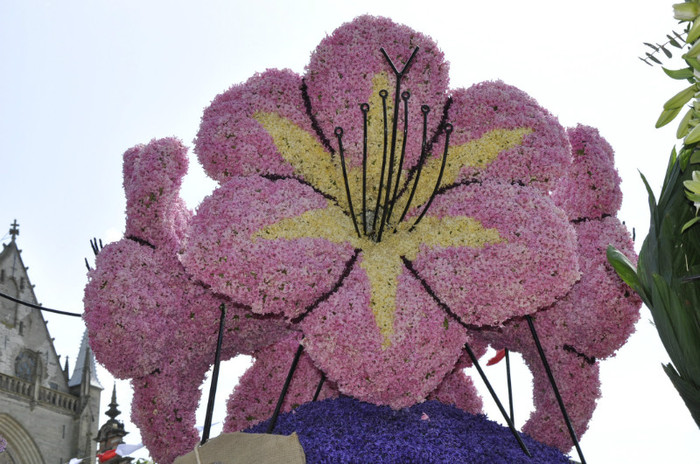 _DSC3414 - Haarlem 2012