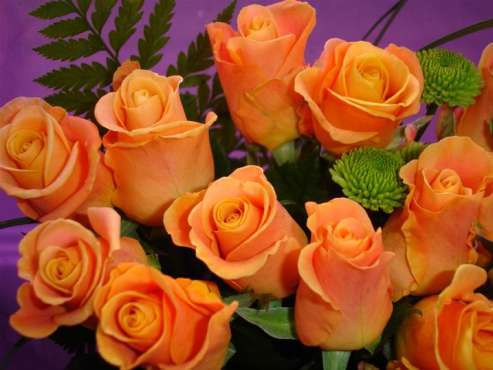 un-buchet-de-trandafiri-portocali_e32d41a4ec613f - Roses