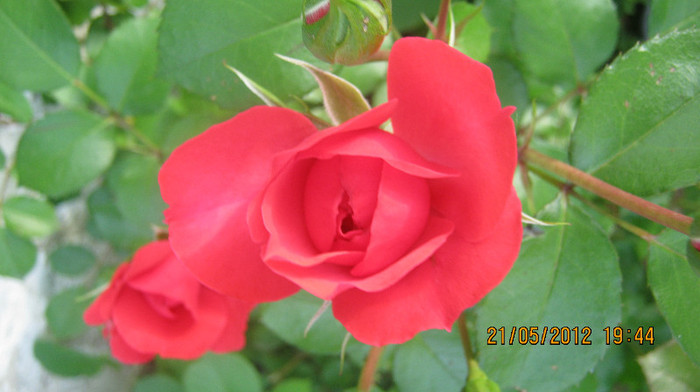 Picture 035