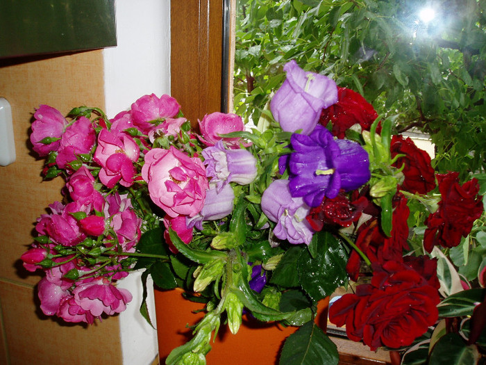 P1010416