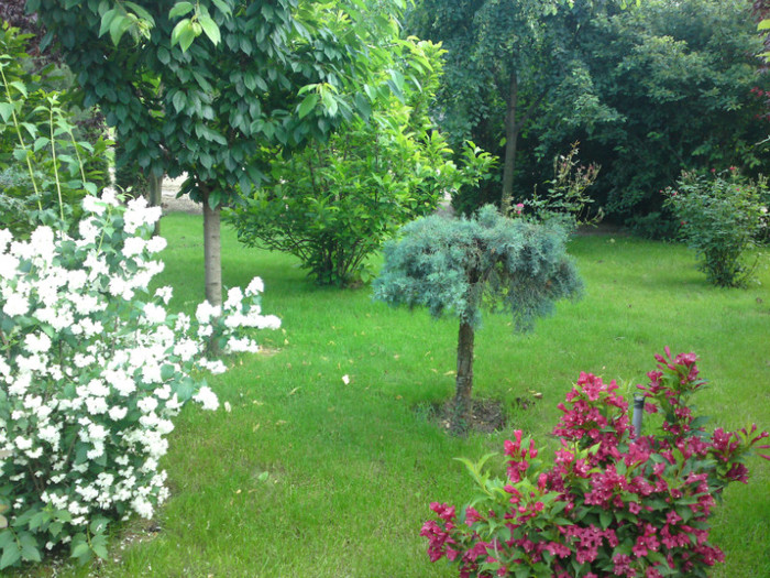 DSC00859; Un loc plin de farmec!
