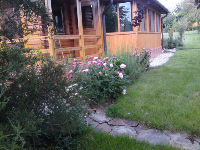 DSC00863; Pe langa terasa inchisa!
