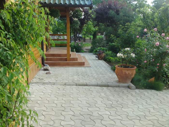 DSC00883; In fata cabanei!
