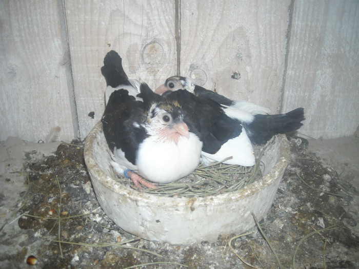 DSCN3628 - E-PUI 2012