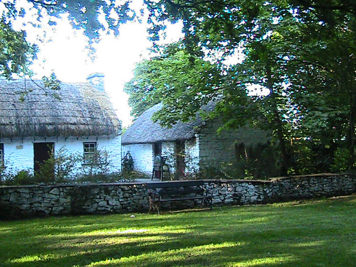 CASE VECHI IN CURTEA CASTELULUI