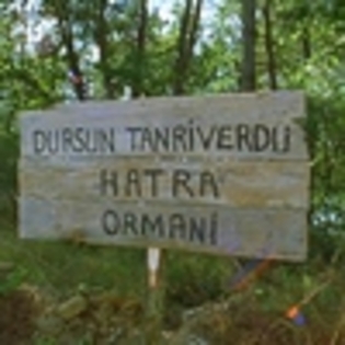 Aşk Geliyorum Demez (225)