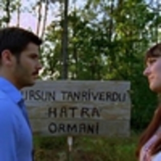 Aşk Geliyorum Demez (768)