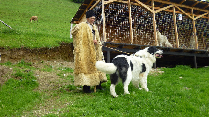 P1040825 - CANISA VALEA-RECE