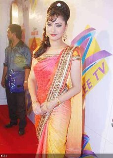 532874_293865924039299_1073202907_n - ankita lokhande-archana